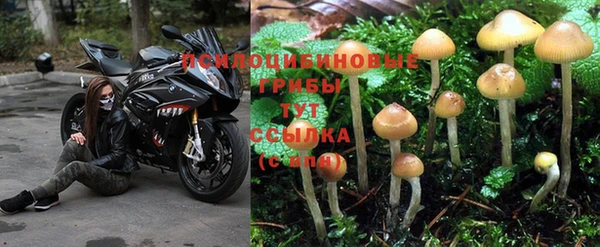 экстази Анива