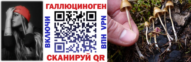 Псилоцибиновые грибы мухоморы Аксай
